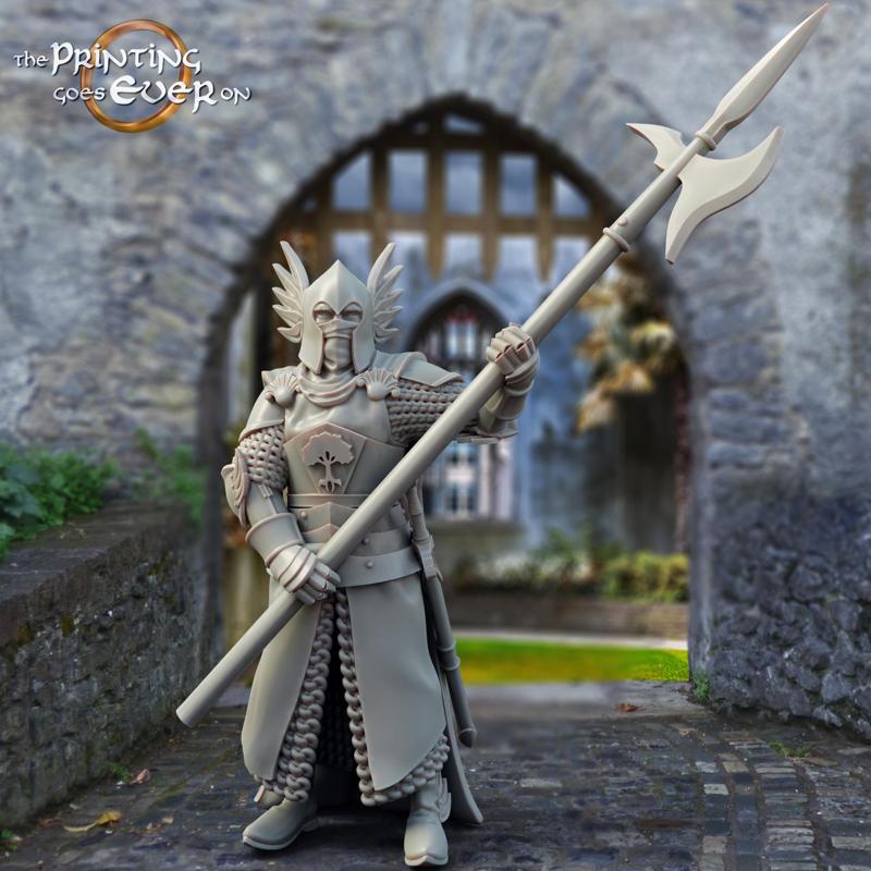 King's Guard - Pose B - Presupported