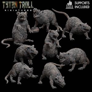 Giant Rat Bundle [Pre-Supported]