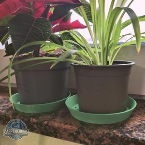 Kaeptn's simple drip tray