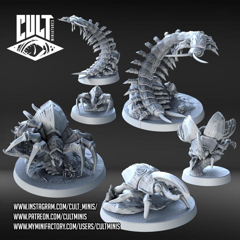 Forest Set: Bugs