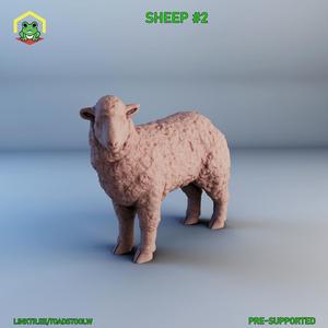 sheep -2