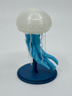 Jellyfish