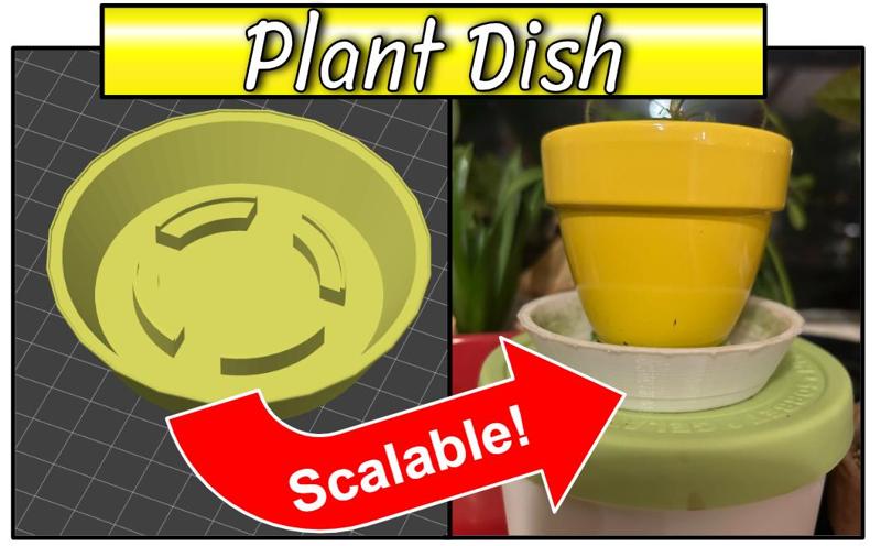 Plant Dish - SCALABLE