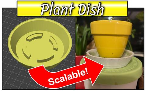 Plant Dish - SCALABLE
