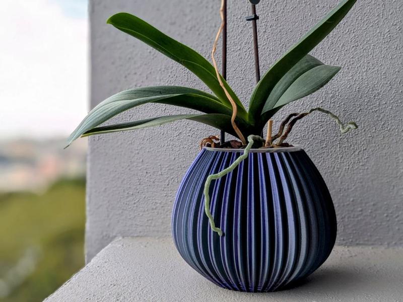 Vase_01