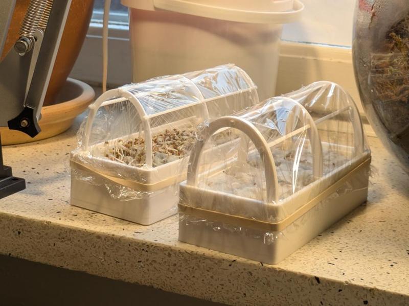 Micro greenhouse - hydroponic, no soil!
