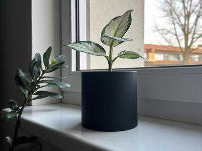 Clean Flower Pot and Planter for Plants Flowerpot