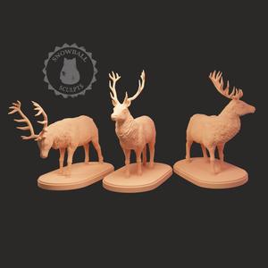Stag Set