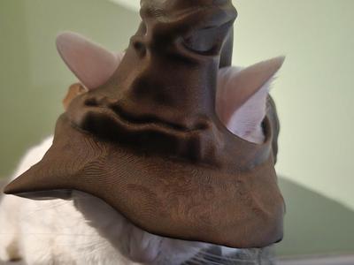 Talking Cat Hat