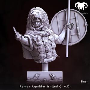 Bust - Roman Aquilifer 1st-2nd C. A.D. The Protector!