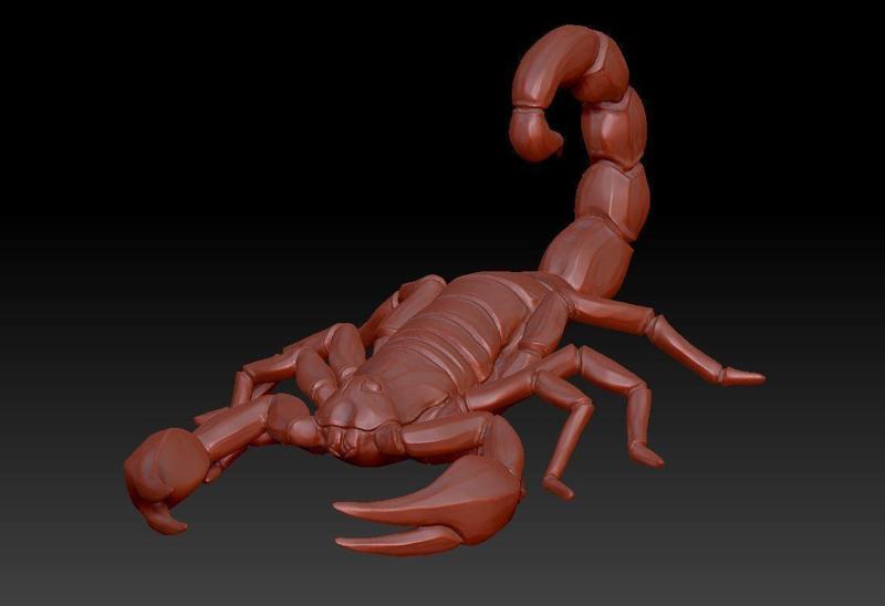 Scorpion