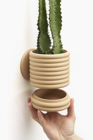 Wall Planter with Sliding Dovetail - The Poppy