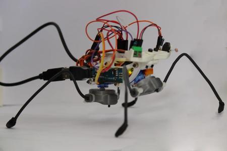TED Walkin Robot parts   