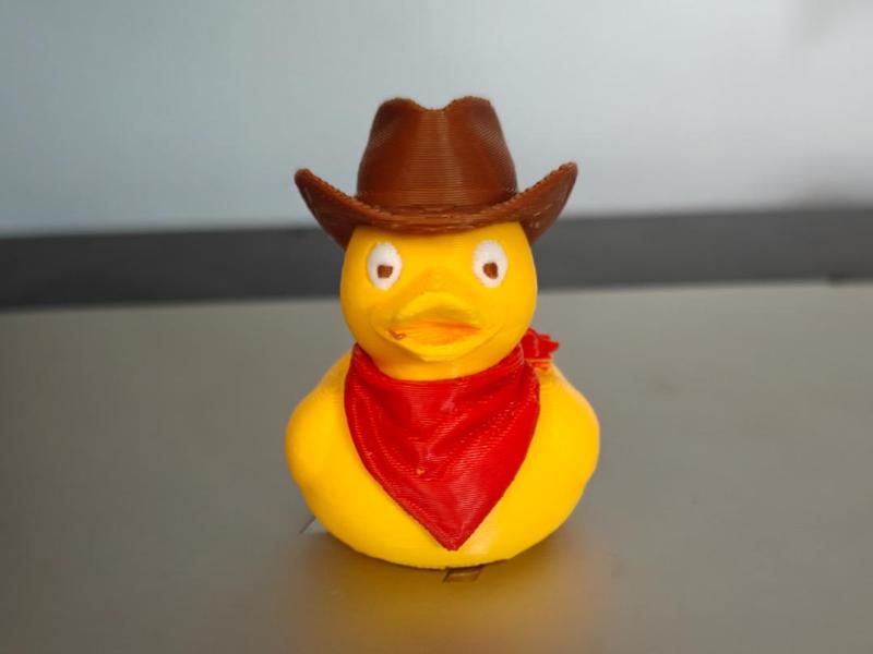 Cowboy Duck