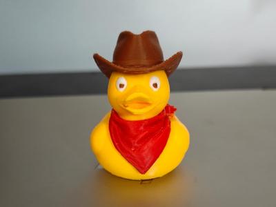 Cowboy Duck