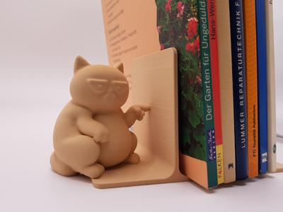 Cool Cat Bookend | Cool Cat Bookend