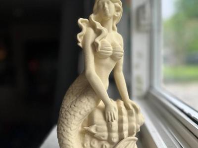Mystical Mermaid