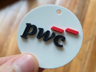 Keychain PWC Logo (PricewaterhouseCoopers)