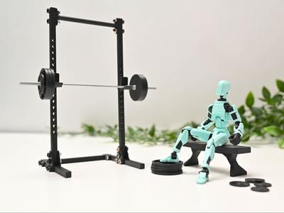 Mini Gym Rack with Bench Barbell and Weight Plates