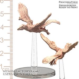013 ANIMAL Flying Dinosaur Archaeopteryx