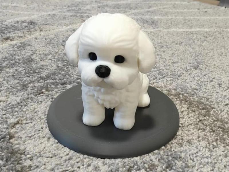 Seated Maltese Miniature