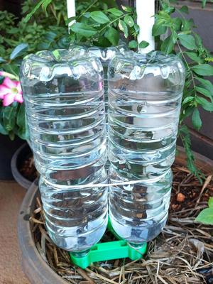 Self-watering system