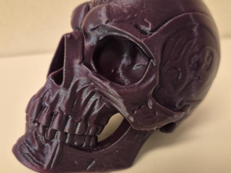 Human skull