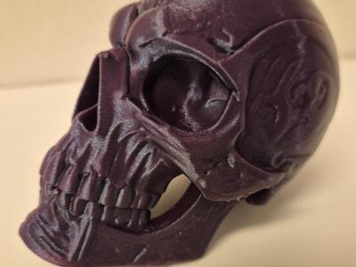 Human skull