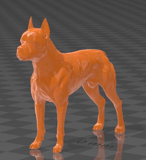 Perro Boxer