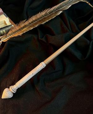 Hermione Granger's 1st wand