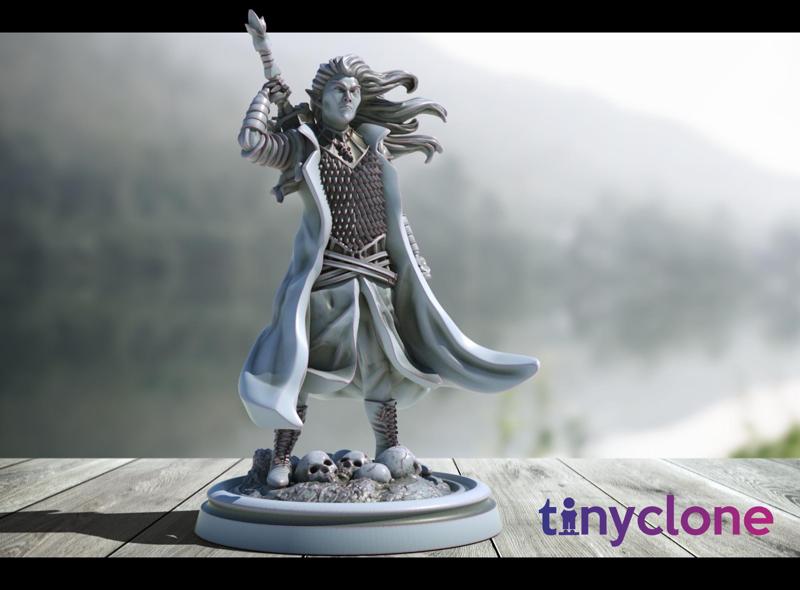 Dark Elf Blackguard