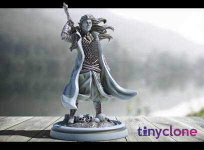 Dark Elf Blackguard