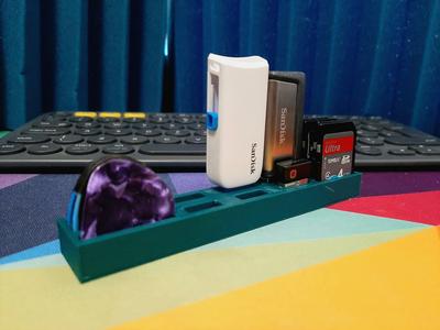 Memory Stick Orginiser