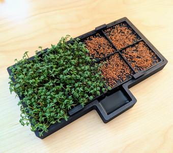 Cress farm V2 (growing sprouts)