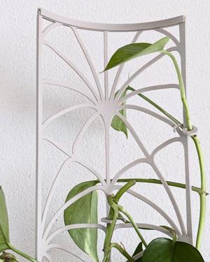Modular Trellis Lattice03