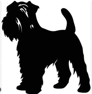 Wheaten Terrier/Fluffy Dog Wall Art