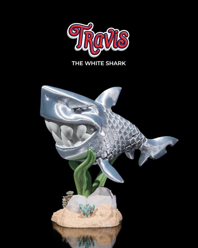 Travis, the White Shark
