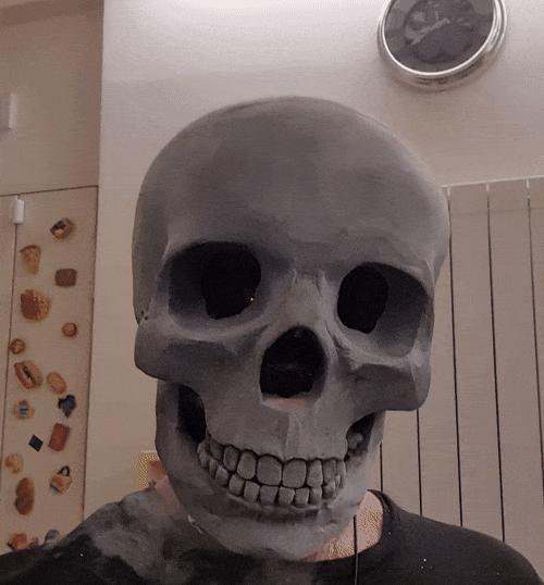 Ghost Rider skull mask