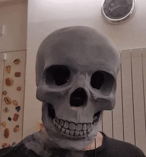 Ghost Rider skull mask