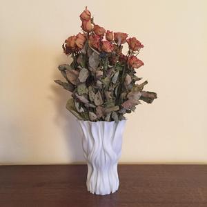 Fluid Vase for Josef Prusa