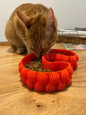 Cat Pot C