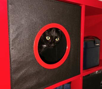 IKEA Cat Box