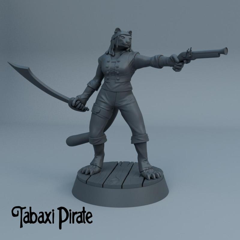 Tabaxi Pirate