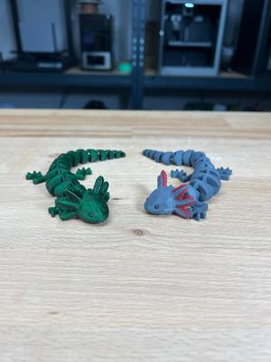Articulated Axolotl - Multicolor and Singlecolor Profiles