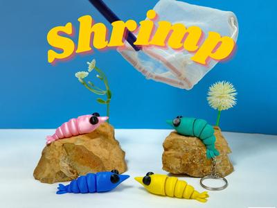 flexi shrimp & Keychain - No Supports
