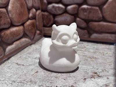 Owl Duck