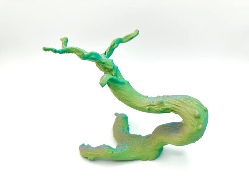 Climbing Branch