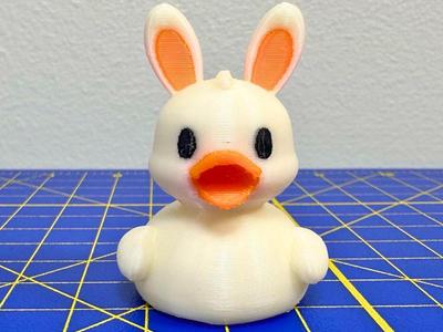 Bunny Duck