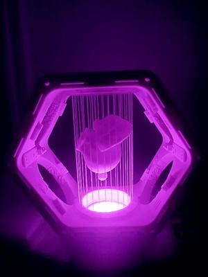 Cute Bunny Incubator  RGBW Puck Lights