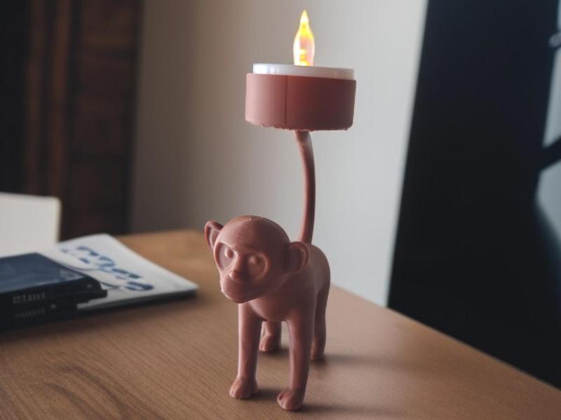 Whimsical Illumination: A Primate's Touch